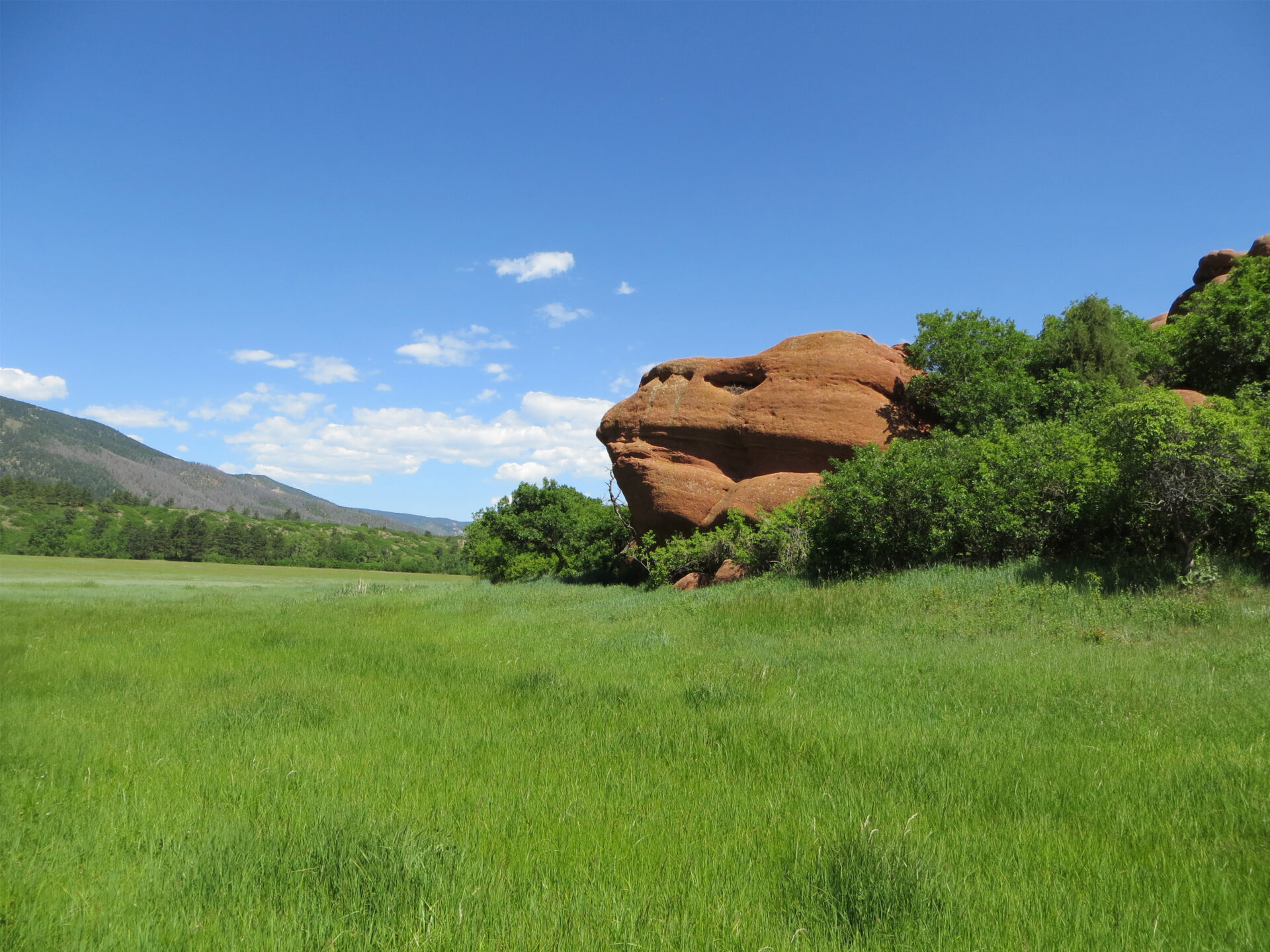 Chatfield