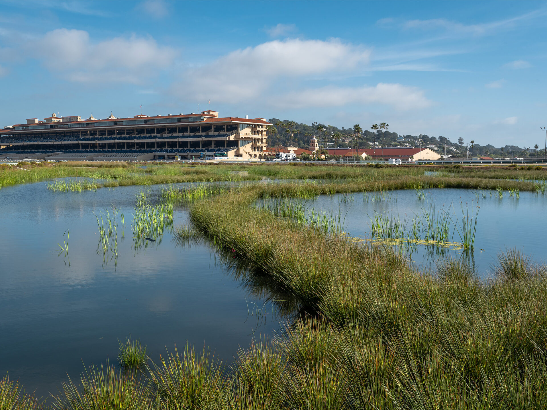 Del Mar Treatment