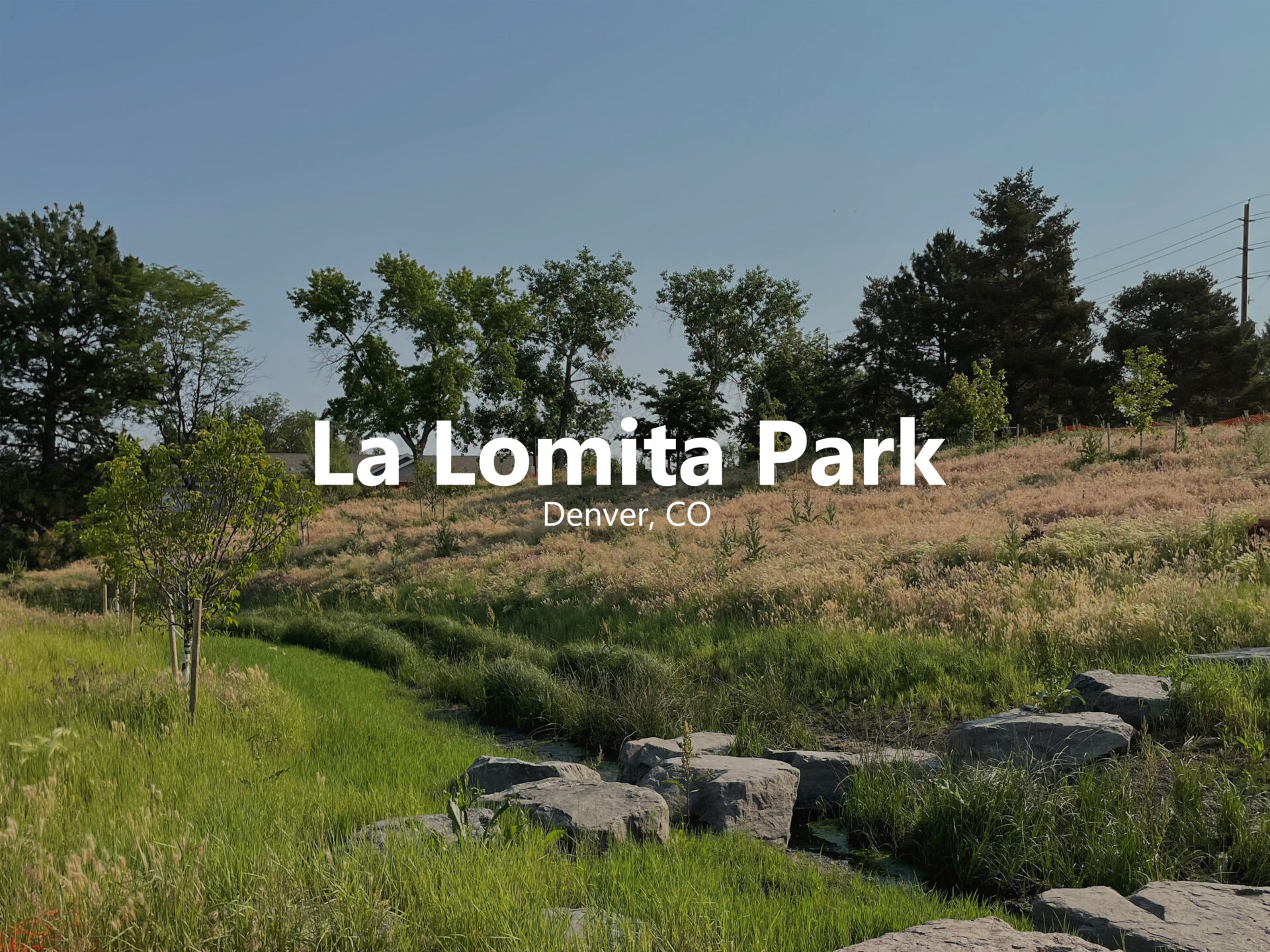 La Lomita Hover