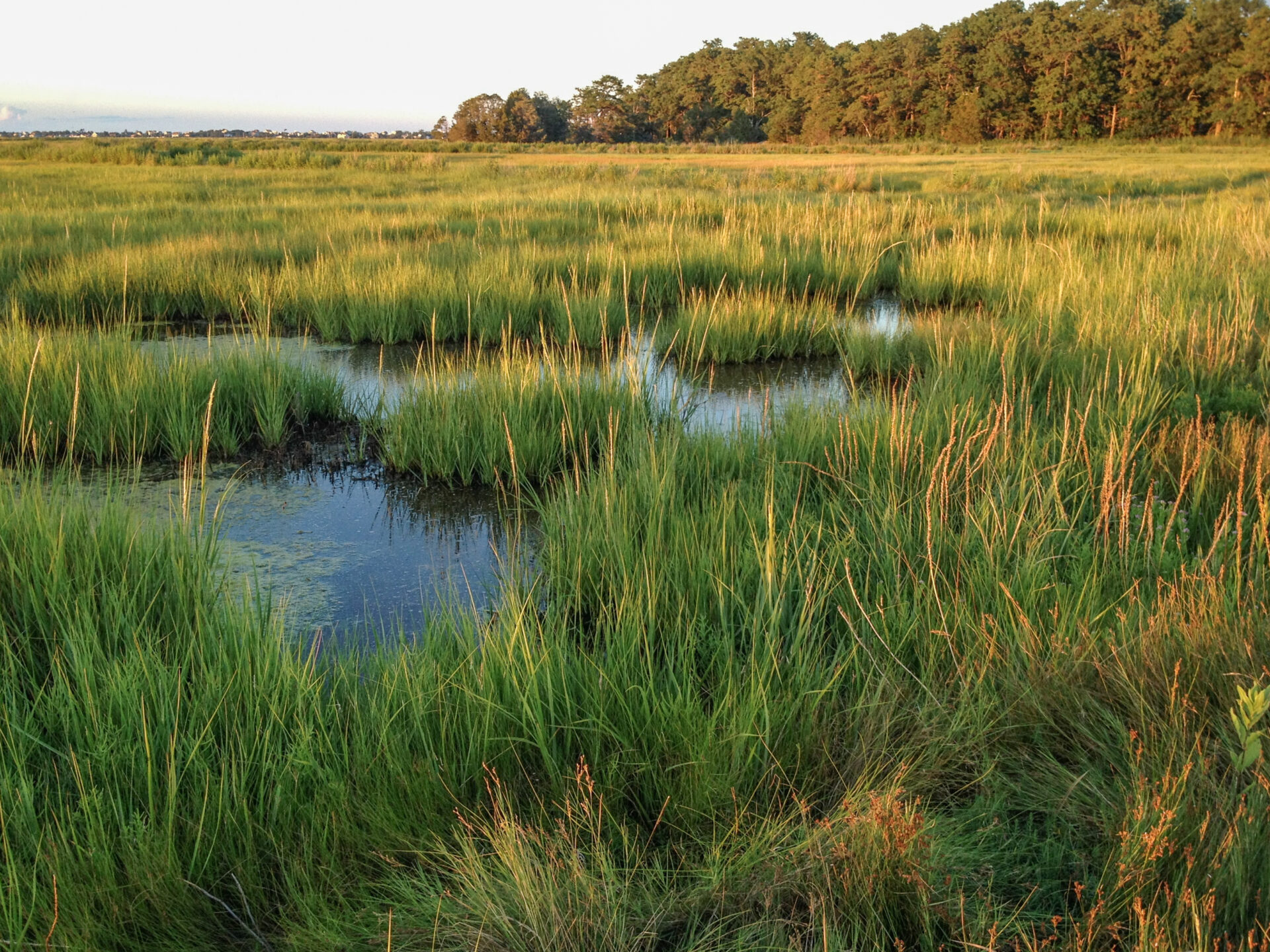 NJ NRDA photo