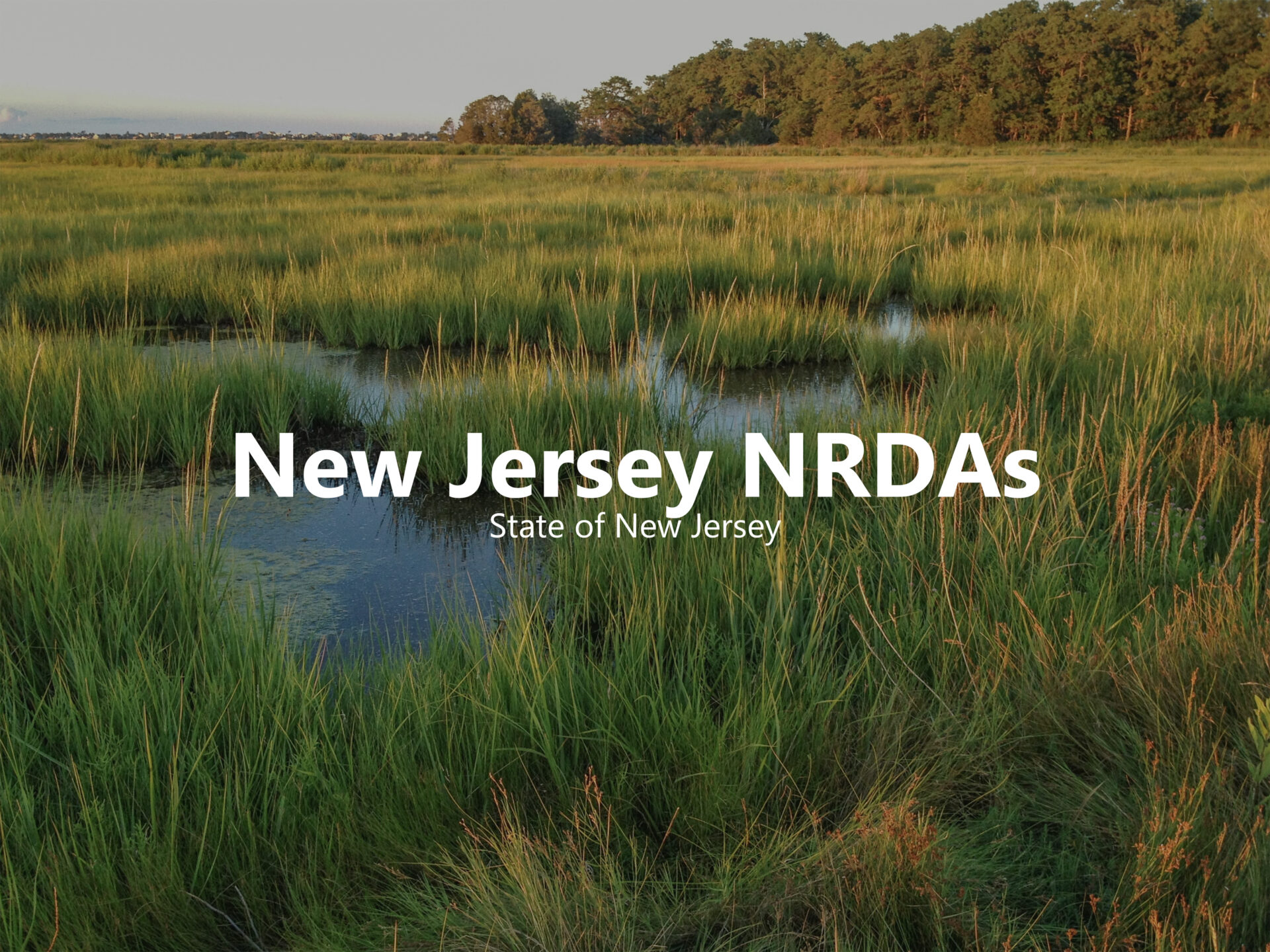 NJ NRDAs Hover