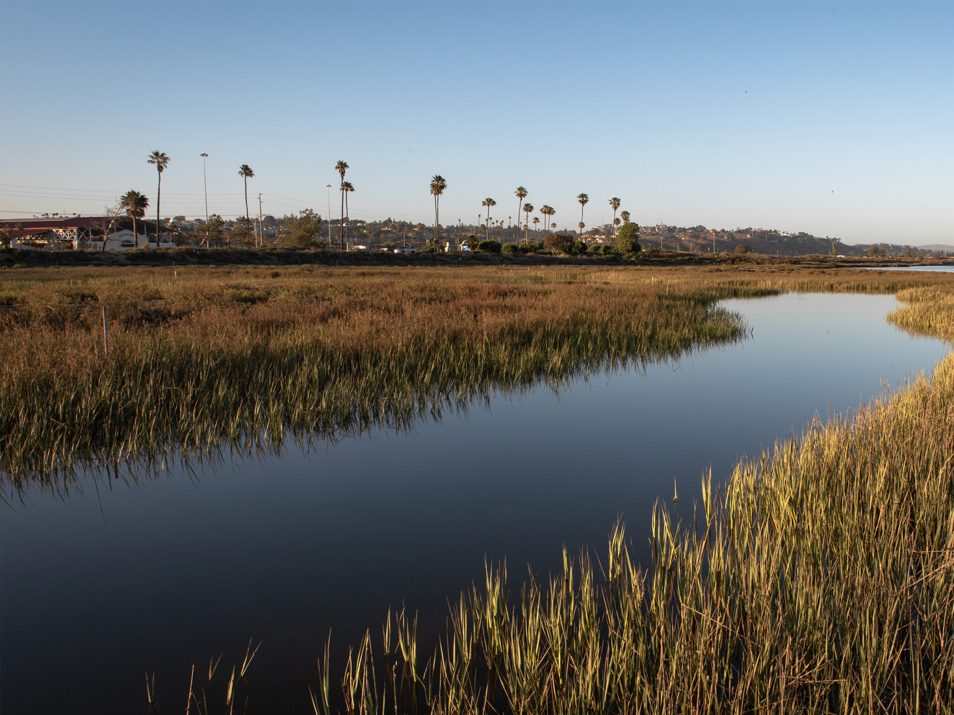 San Dieguito Lagoon