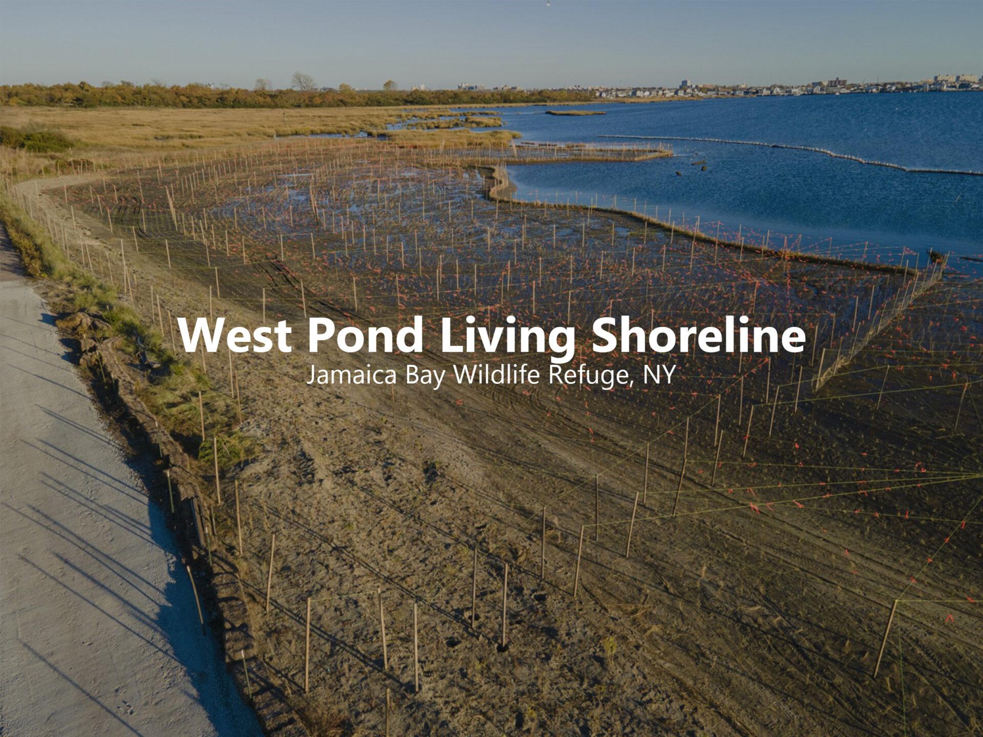 West Pond Hover